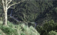 1954 & 1957 Urewera National Park